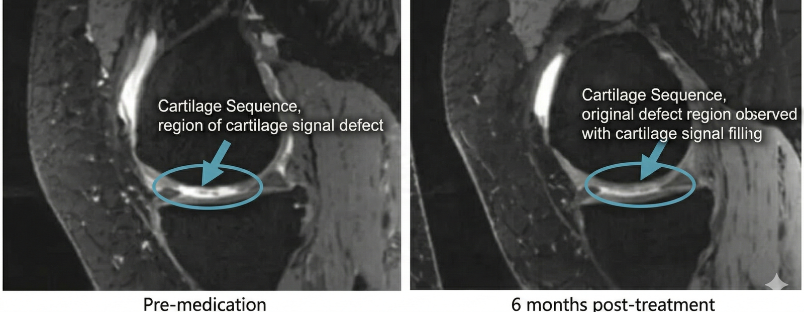 Long Comparison Clinical Chart