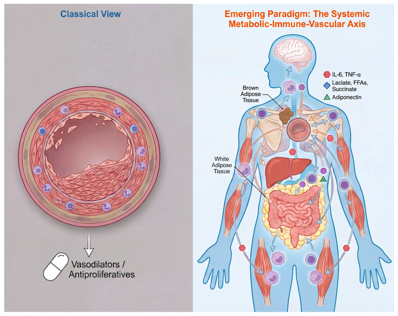 Systemic Metabolic Collapse