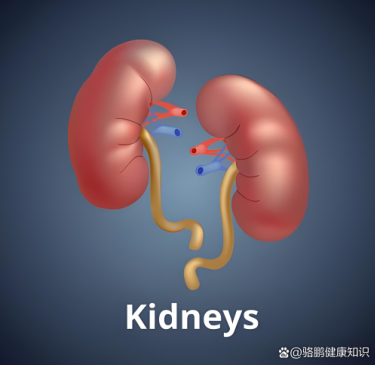 Diabetic Kidney Disease