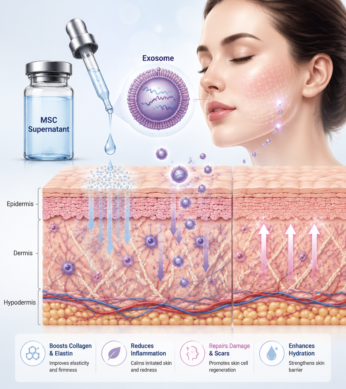 Skin & Anti-Aging